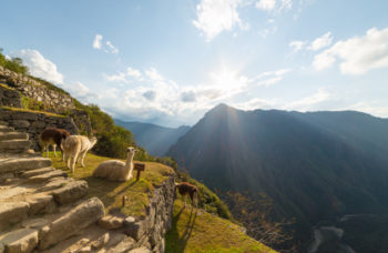 Las 10 mejores cosas que hacer en la costa sur de Perú