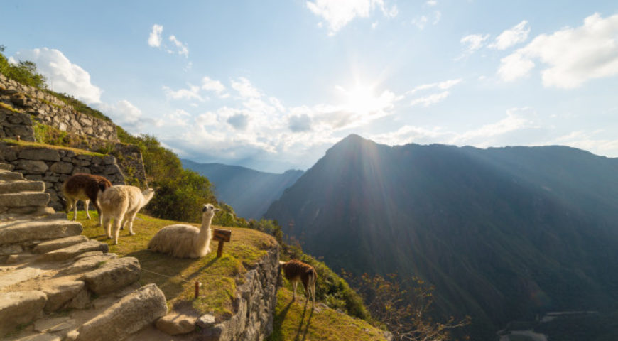 Las 10 mejores cosas que hacer en la costa sur de Perú