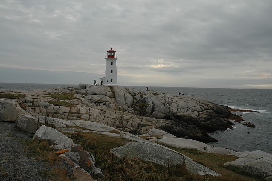 rhubarb peggy's cove